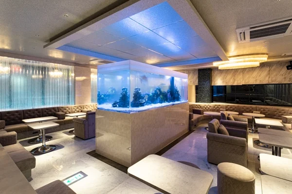 CLUB EXCELLENT